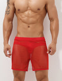 QDBAR 2024 Sexy Mesh Shorts 00605