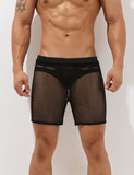 QDBAR 2024 Sexy Mesh Shorts 00605