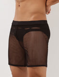 QDBAR 2024 Sexy Mesh Shorts 00605