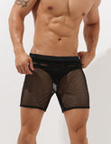 QDBAR 2024 Sexy Mesh Shorts 00605