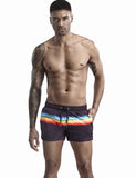 QDBAR 2024 Rainbow Beach Surf Shorts 00601