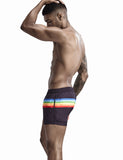 QDBAR 2024 Rainbow Beach Surf Shorts 00601