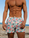 QDBAR 2024 Beach Shorts 221301