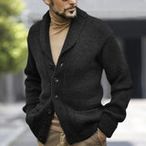 QDBAR Men Winter Business Slim-Fit Sweater Jacket Autumn Fashion Lapel Single-breasted Long Sleeve Sweater Cardigan Men Knitted Top